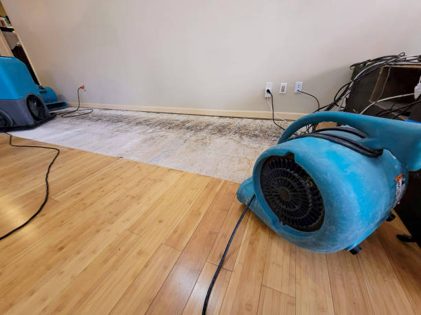 Reliable Basement Flood Cleanup contractor in Princeton, TX by Hirex Water Damage