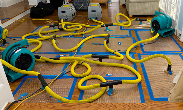 Professional Basement Flood Cleanup technician working in Princeton, TX
